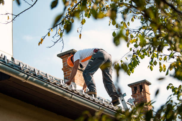 Best Metal Roofing Contractor  in Strum, WI