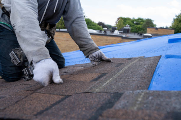 Best Roof Gutter Cleaning  in Strum, WI