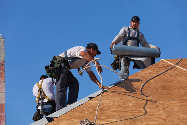 Best Flat Roof Repair Services  in Strum, WI