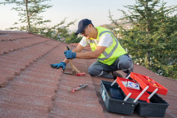 Best Flat Roof Repair Services  in Strum, WI
